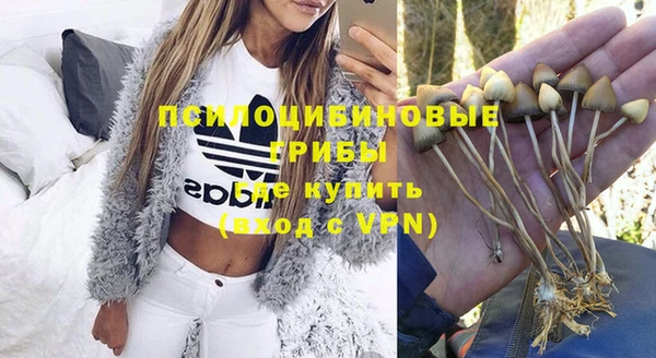 кокс Абаза