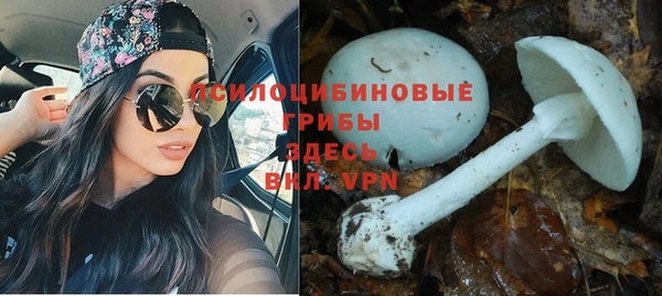 кокс Абаза