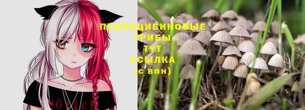 a pvp Абдулино