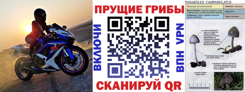 кракен зеркало  Усть-Катав  Псилоцибиновые грибы GOLDEN TEACHER 